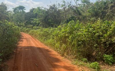 Road