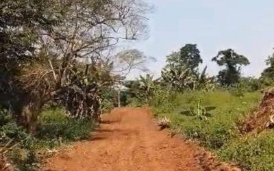 lotissement web pic Best lotissement web pic Best